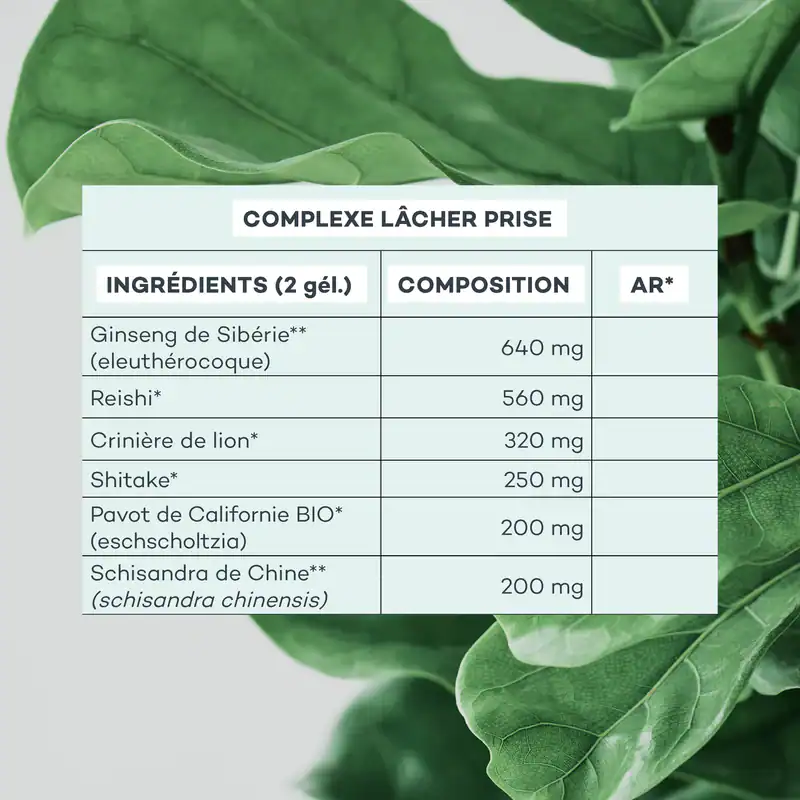 Complexe Lâcher Prise – Image 5