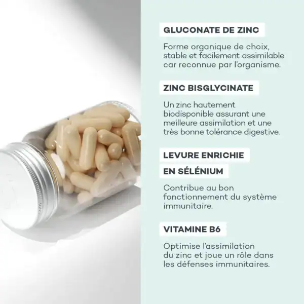 Absolu de Zinc – Image 4