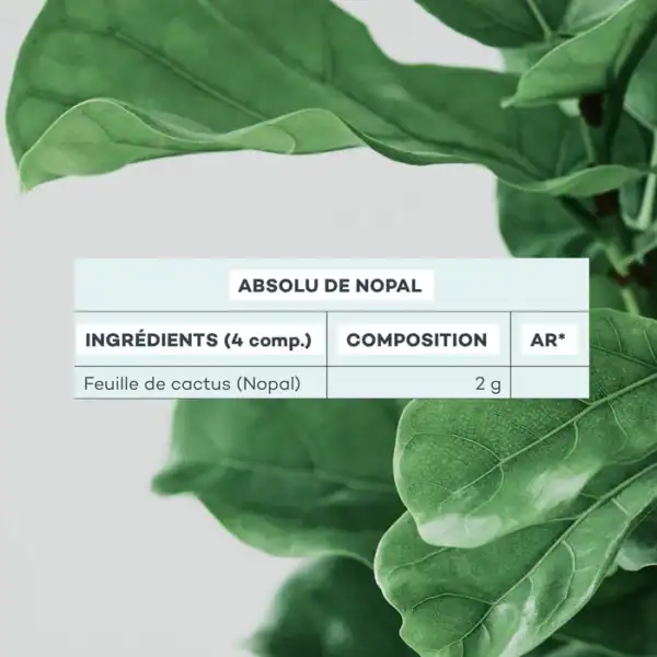 Absolu de Nopal – Image 3