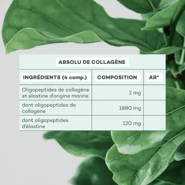 Duo Nutrition-Absolue – Image 9