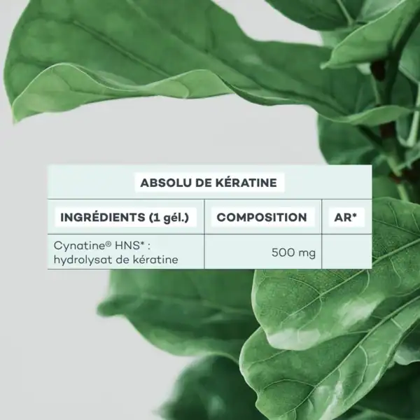 Absolu de Kératine – Image 6