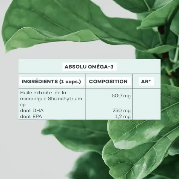 Absolu Omégas 3 – Image 5