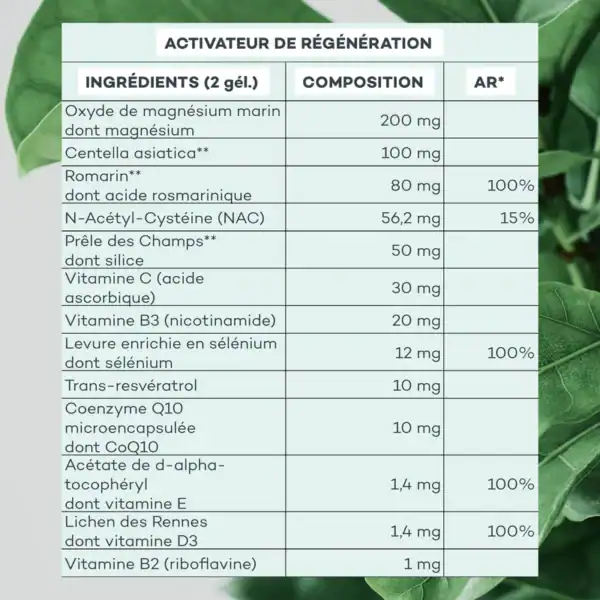 Activateur de Régénération – Image 6