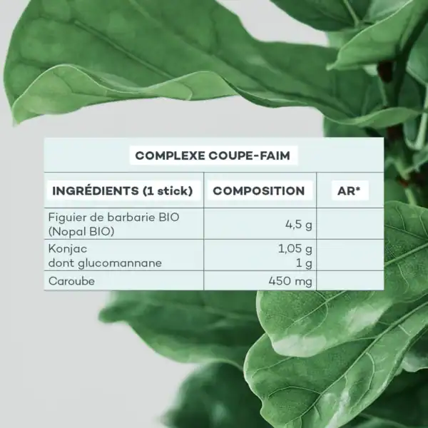 COMPLEXE COUPE FAIM - 14 STICKS – Image 4