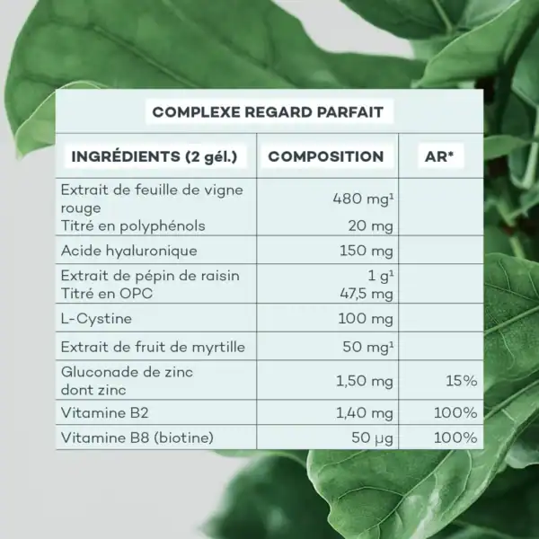 Complexe Regard Parfait – Image 6