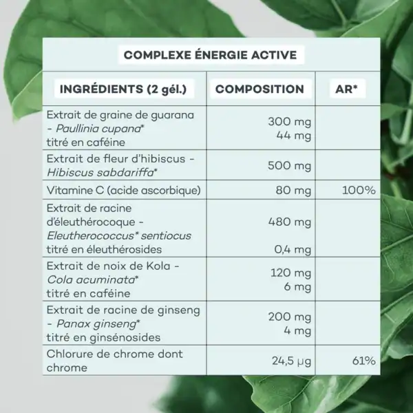 Programme Brûle-Graisses – Image 7