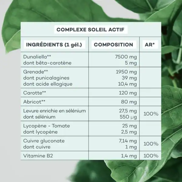 Complexe Soleil Actif – Image 6