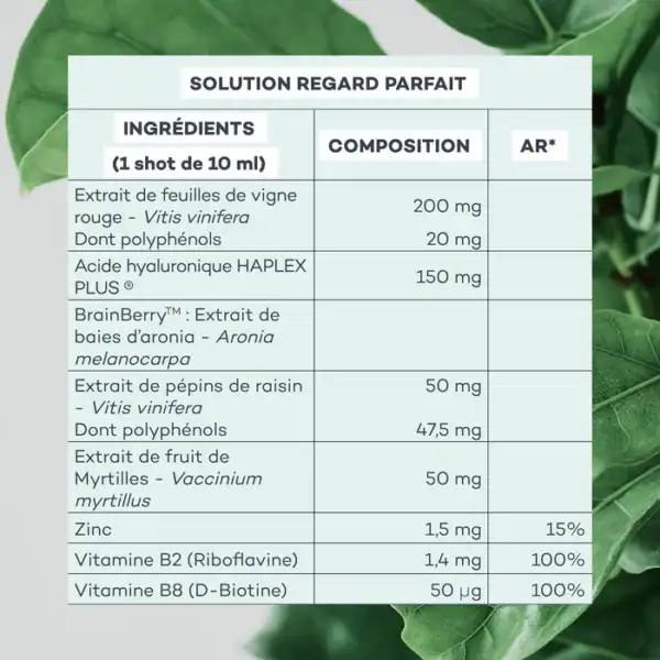 Solution Regard parfait – Image 4