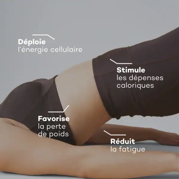 Activateur de Métabolisme – Image 2