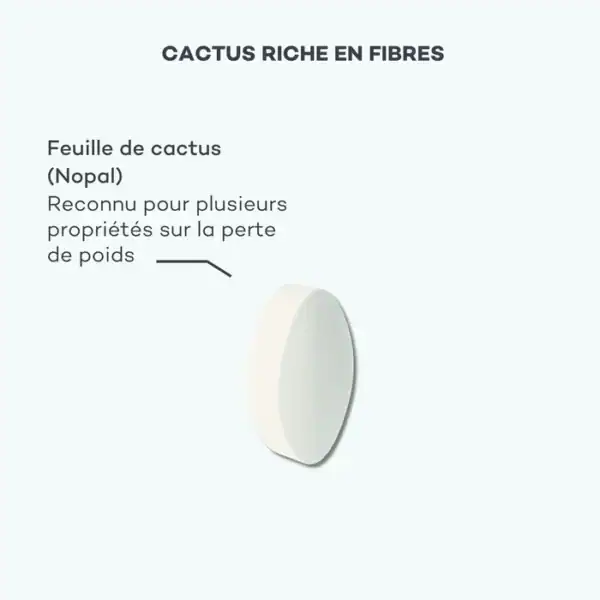 Absolu de Nopal – Image 6