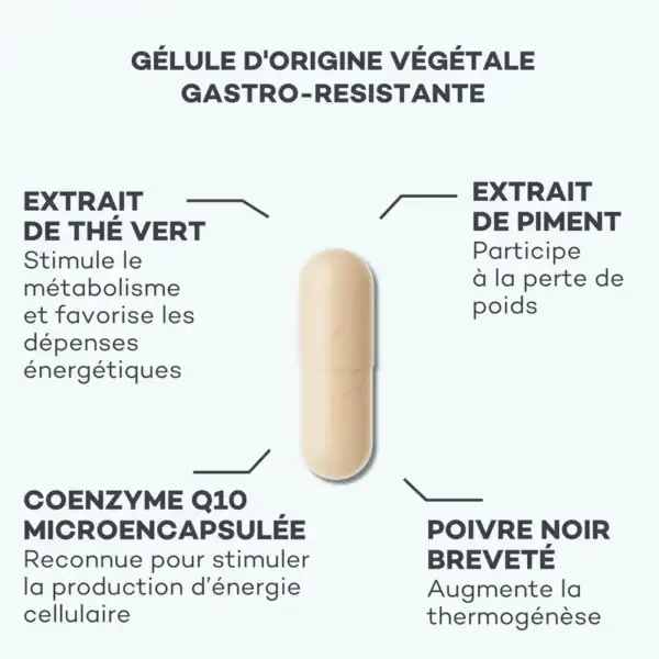 Activateur de Métabolisme – Image 4