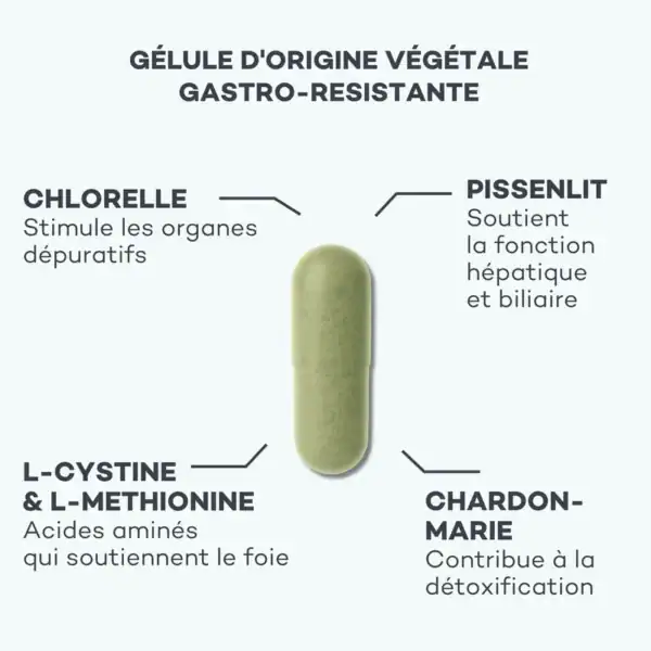 Détox Foie – Image 3