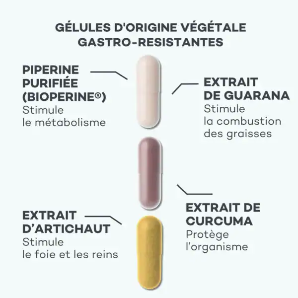Programme Brûle-Graisses – Image 4